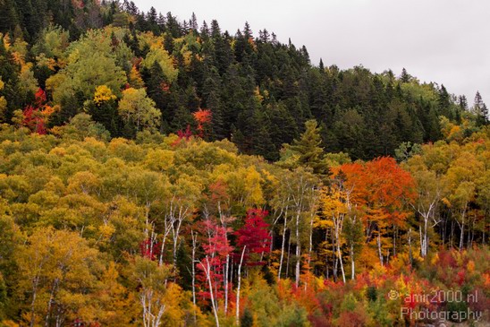 Maine_New_England_USA_Nature_Landscape_Fall_Photography_071_Canon_EOS_7D.JPG