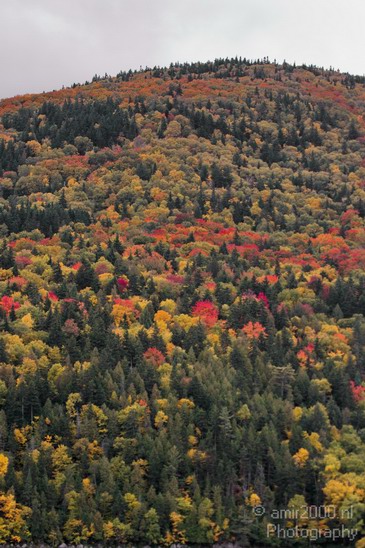 Maine_New_England_USA_Nature_Landscape_Fall_Photography_072_Canon_EOS_7D.JPG
