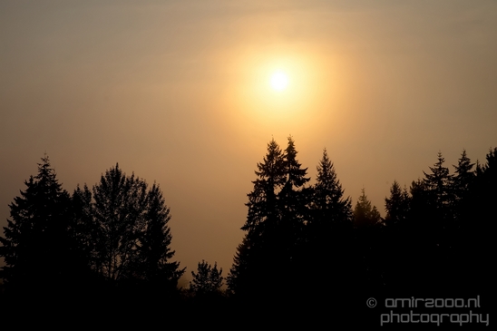 Marysville_Washington_state_nature_landscape_Usa_Photography_006_Canon_EOS_5D_Mark_IV.JPG