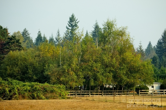 Marysville_Washington_state_nature_landscape_Usa_Photography_010_Canon_EOS_5D_Mark_IV.JPG