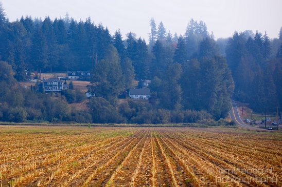 Marysville_Washington_state_nature_landscape_Usa_Photography_011_Canon_EOS_5D_Mark_IV.JPG