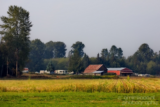Marysville_Washington_state_nature_landscape_Usa_Photography_012_Canon_EOS_5D_Mark_IV.JPG