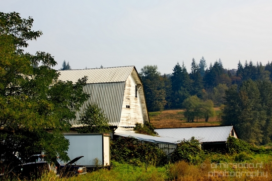 Marysville_Washington_state_nature_landscape_Usa_Photography_013_Canon_EOS_5D_Mark_IV.JPG