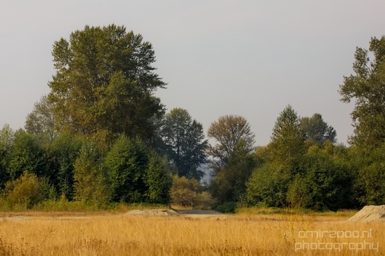 Marysville_Washington_state_nature_landscape_Usa_Photography_014_Canon_EOS_5D_Mark_IV.JPG