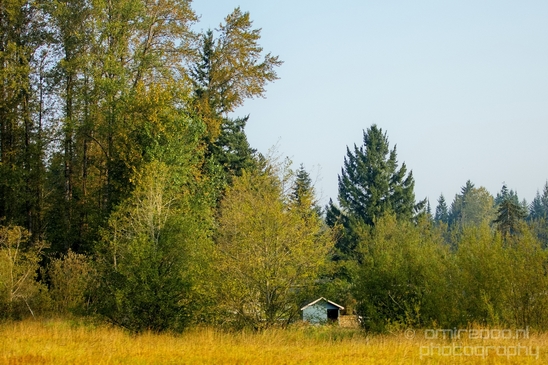 Marysville_Washington_state_nature_landscape_Usa_Photography_026_Canon_EOS_5D_Mark_IV.JPG