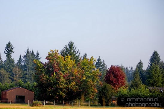 Marysville_Washington_state_nature_landscape_Usa_Photography_027_Canon_EOS_5D_Mark_IV.JPG