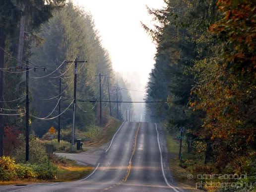 Marysville_Washington_state_nature_landscape_Usa_Photography_029_Canon_EOS_5D_Mark_IV.JPG