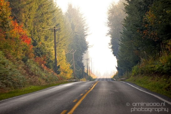 Marysville_Washington_state_nature_landscape_Usa_Photography_030_Canon_EOS_5D_Mark_IV.JPG