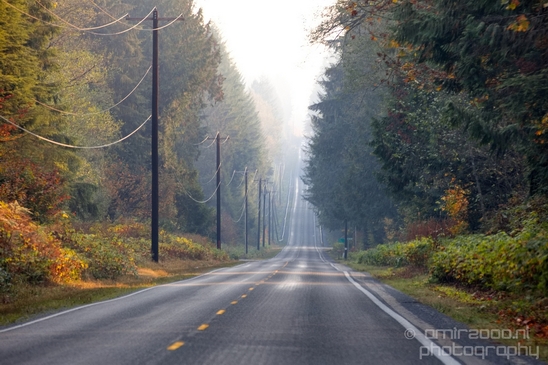 Marysville_Washington_state_nature_landscape_Usa_Photography_031_Canon_EOS_5D_Mark_IV.JPG