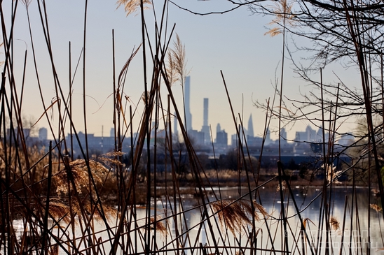Mill_Creek_Marsh_Trail_Secaucus_New_Jersey_USA_city_landscape_Nature_Photography_001_Canon_EOS_5D_Mark_IV.JPG