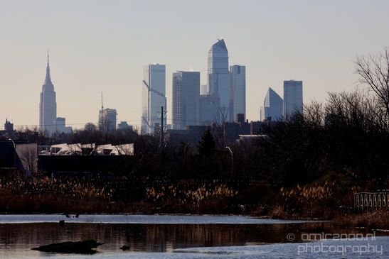 Mill_Creek_Marsh_Trail_Secaucus_New_Jersey_USA_city_landscape_Nature_Photography_005_Canon_EOS_5D_Mark_IV.JPG
