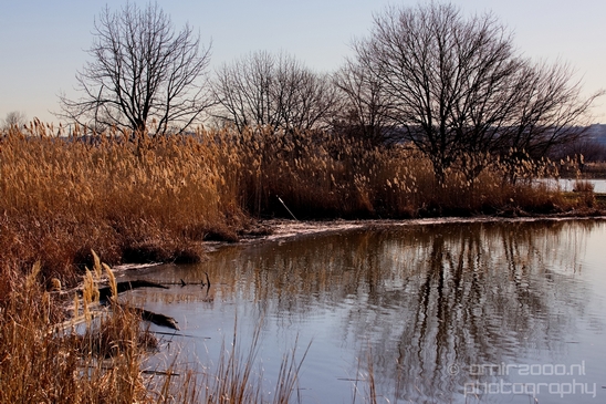 Mill_Creek_Marsh_Trail_Secaucus_New_Jersey_USA_city_landscape_Nature_Photography_007_Canon_EOS_5D_Mark_IV.JPG