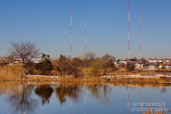 Mill_Creek_Marsh_Trail_Secaucus_New_Jersey_USA_city_landscape_Nature_Photography_008_Canon_EOS_5D_Mark_IV.JPG
