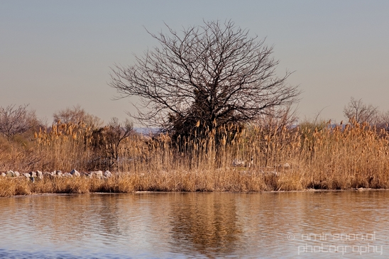 Mill_Creek_Marsh_Trail_Secaucus_New_Jersey_USA_city_landscape_Nature_Photography_014_Canon_EOS_5D_Mark_IV.JPG