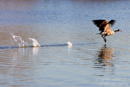 Mill_Creek_Marsh_Trail_Secaucus_New_Jersey_USA_city_landscape_Nature_Photography_018_Canon_EOS_5D_Mark_IV.JPG