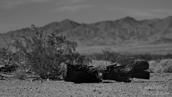 Mojave_National_Preserve_California_USA_Nature_Photography_013_Canon_EOS_7D.JPG