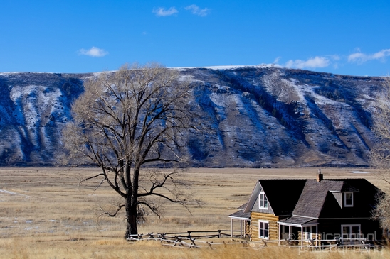 National_Elk_Refuge_Grand_Teton_Wyoming_USA_nature_landscape_Photography_003_Canon_EOS_5D_Mark_IV.JPG