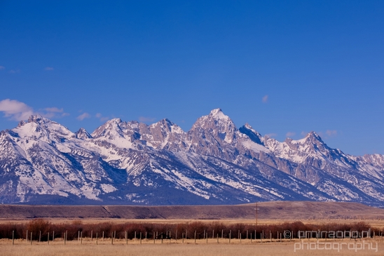 National_Elk_Refuge_Grand_Teton_Wyoming_USA_nature_landscape_Photography_018_Canon_EOS_5D_Mark_IV.JPG