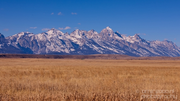 National_Elk_Refuge_Grand_Teton_Wyoming_USA_nature_landscape_Photography_021_Canon_EOS_5D_Mark_IV.JPG