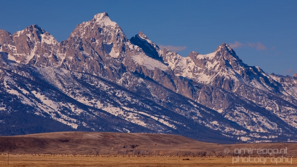 National_Elk_Refuge_Grand_Teton_Wyoming_USA_nature_landscape_Photography_022_Canon_EOS_5D_Mark_IV.JPG