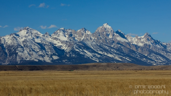 National_Elk_Refuge_Grand_Teton_Wyoming_USA_nature_landscape_Photography_025_Canon_EOS_5D_Mark_IV.JPG
