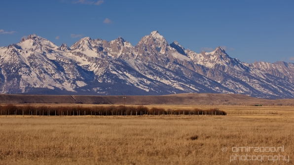 National_Elk_Refuge_Grand_Teton_Wyoming_USA_nature_landscape_Photography_026_Canon_EOS_5D_Mark_IV.JPG