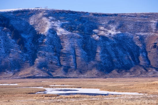 National_Elk_Refuge_Grand_Teton_Wyoming_USA_nature_landscape_Photography_027_Canon_EOS_5D_Mark_IV.JPG
