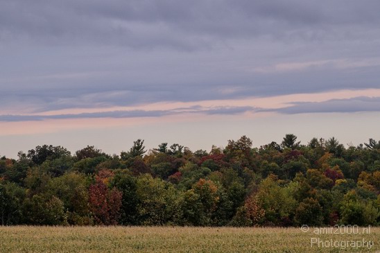 Nature_Fall_scene_state_of_New_York_Landscape_City_Usa_Photography_025_Canon_EOS_7D.JPG