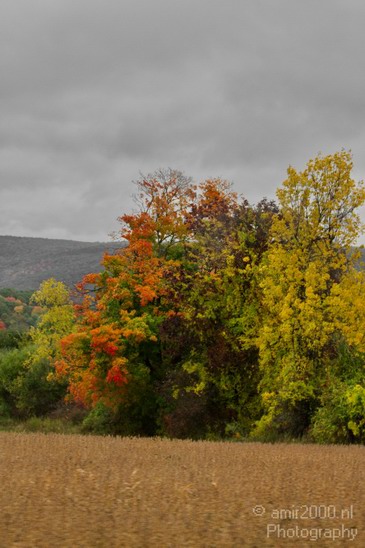 Nature_Fall_scene_state_of_New_York_Landscape_City_Usa_Photography_026_Canon_EOS_7D.JPG