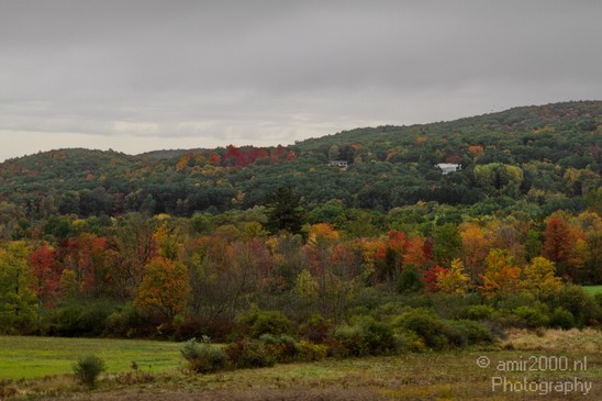 Nature_Fall_scene_state_of_New_York_Landscape_City_Usa_Photography_027_Canon_EOS_7D.JPG