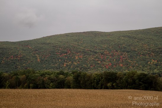 Nature_Fall_scene_state_of_New_York_Landscape_City_Usa_Photography_030_Canon_EOS_7D.JPG