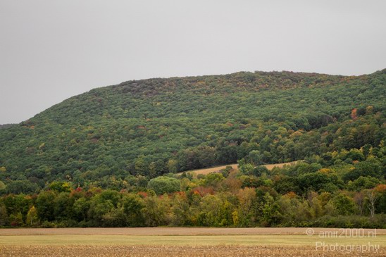Nature_Fall_scene_state_of_New_York_Landscape_City_Usa_Photography_031_Canon_EOS_7D.JPG