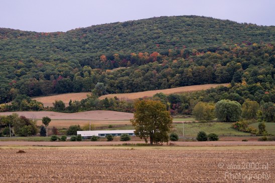 Nature_Fall_scene_state_of_New_York_Landscape_City_Usa_Photography_032_Canon_EOS_7D.JPG