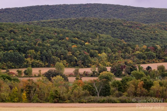 Nature_Fall_scene_state_of_New_York_Landscape_City_Usa_Photography_035_Canon_EOS_7D.JPG