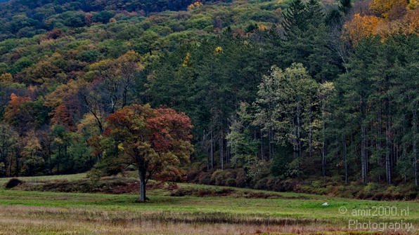 New_York_Fall_Landscape_USA_City_Nature_Photography_002_Canon_EOS_7D.JPG