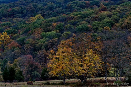 New_York_Fall_Landscape_USA_City_Nature_Photography_005_Canon_EOS_7D.JPG