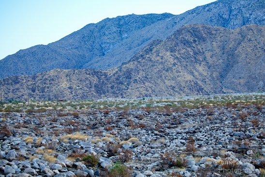 Palm_Springs_California_landscape_nature_fall_autumn_Usa_Photography_001_Canon_EOS_5D_Mark_IV.JPG