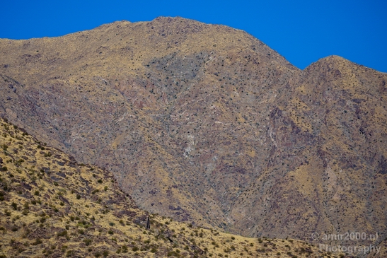 Palm_Springs_California_landscape_nature_fall_autumn_Usa_Photography_002_Canon_EOS_5D_Mark_IV.JPG