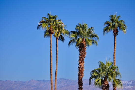 Palm_Springs_California_landscape_nature_fall_autumn_Usa_Photography_003_Canon_EOS_5D_Mark_IV.JPG