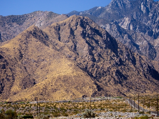 Palm_Springs_California_landscape_nature_fall_autumn_Usa_Photography_009_Canon_EOS_5D_Mark_IV.JPG