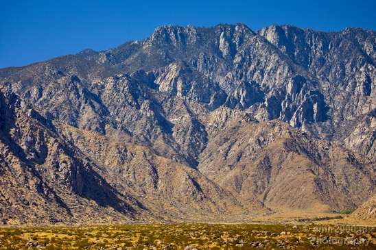 Palm_Springs_California_landscape_nature_fall_autumn_Usa_Photography_011_Canon_EOS_5D_Mark_IV.JPG