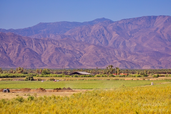 Palm_Springs_California_landscape_nature_fall_autumn_Usa_Photography_025_Canon_EOS_5D_Mark_IV.JPG