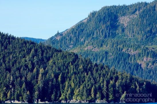 Port_Renfrew_nature_landscape_British_Columbia_Canada_Usa_Photography_003_Canon_EOS_5D_Mark_IV.JPG