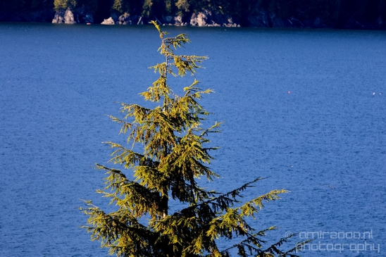 Port_Renfrew_nature_landscape_British_Columbia_Canada_Usa_Photography_004_Canon_EOS_5D_Mark_IV.JPG