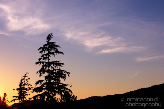 Port_Renfrew_nature_landscape_British_Columbia_Canada_Usa_Photography_006_Canon_EOS_5D_Mark_IV.JPG
