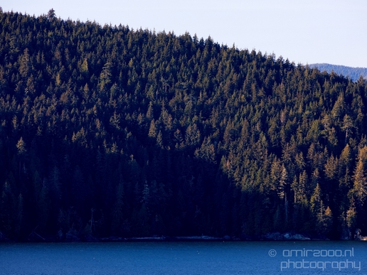 Port_Renfrew_nature_landscape_British_Columbia_Canada_Usa_Photography_007_Canon_EOS_5D_Mark_IV.JPG