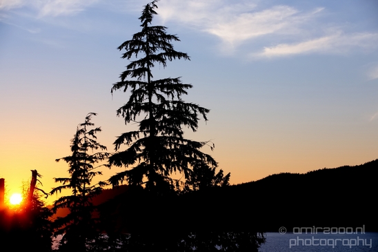 Port_Renfrew_nature_landscape_British_Columbia_Canada_Usa_Photography_012_Canon_EOS_5D_Mark_IV.JPG
