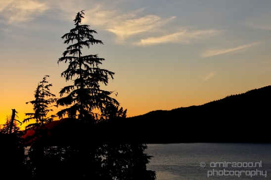 Port_Renfrew_nature_landscape_British_Columbia_Canada_Usa_Photography_015_Canon_EOS_5D_Mark_IV.JPG