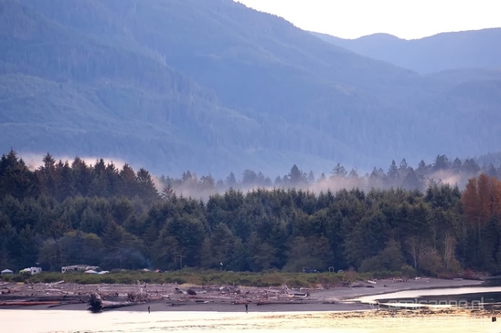 Port_Renfrew_nature_landscape_British_Columbia_Canada_Usa_Photography_029_Canon_EOS_5D_Mark_IV.JPG