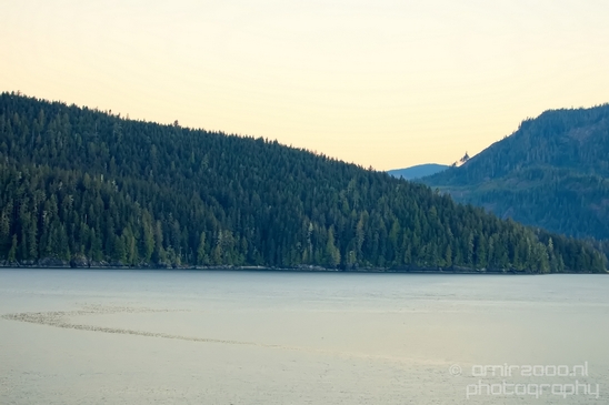 Port_Renfrew_nature_landscape_British_Columbia_Canada_Usa_Photography_032_Canon_EOS_5D_Mark_IV.JPG
